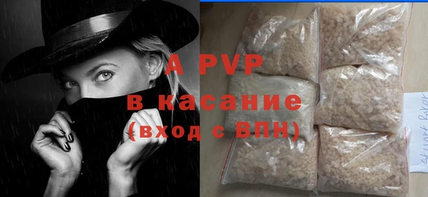 прущие крисы Пересвет