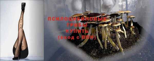 прущие крисы Пересвет