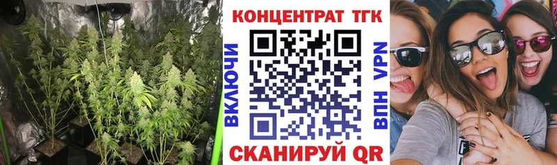 наркошоп Торопец Дистиллят ТГК вейп с тгк