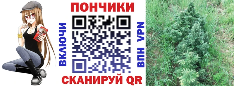 Шишки марихуана ГИДРОПОН Торопец